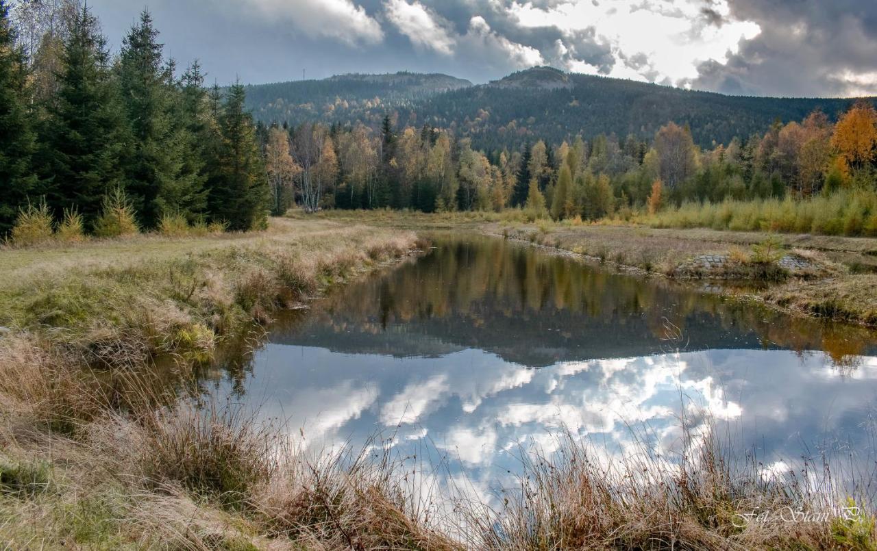 Szewska Pasja Agroturystyka Wiejska Leśna Dış mekan fotoğraf