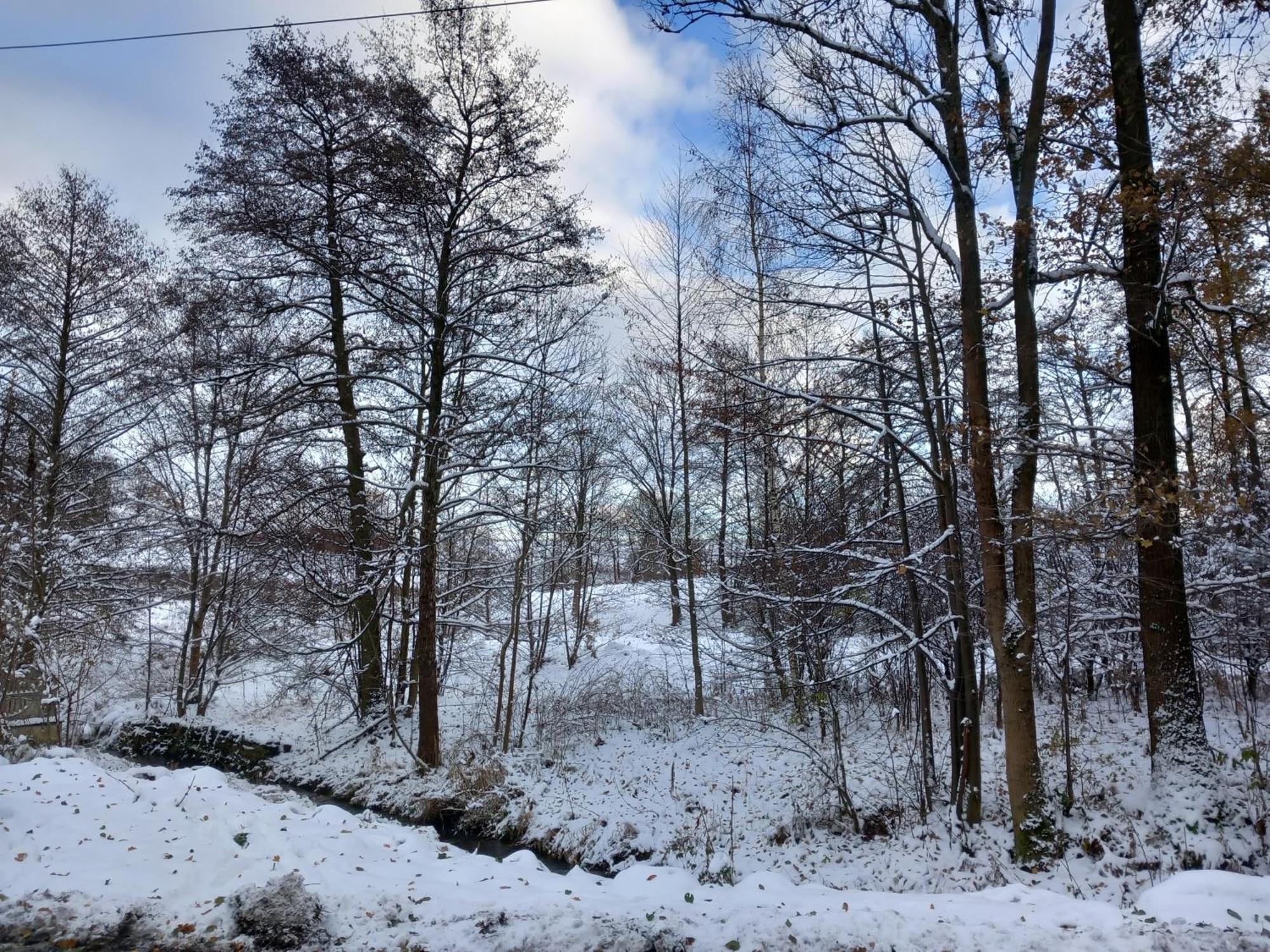 Szewska Pasja Agroturystyka Wiejska Leśna Dış mekan fotoğraf