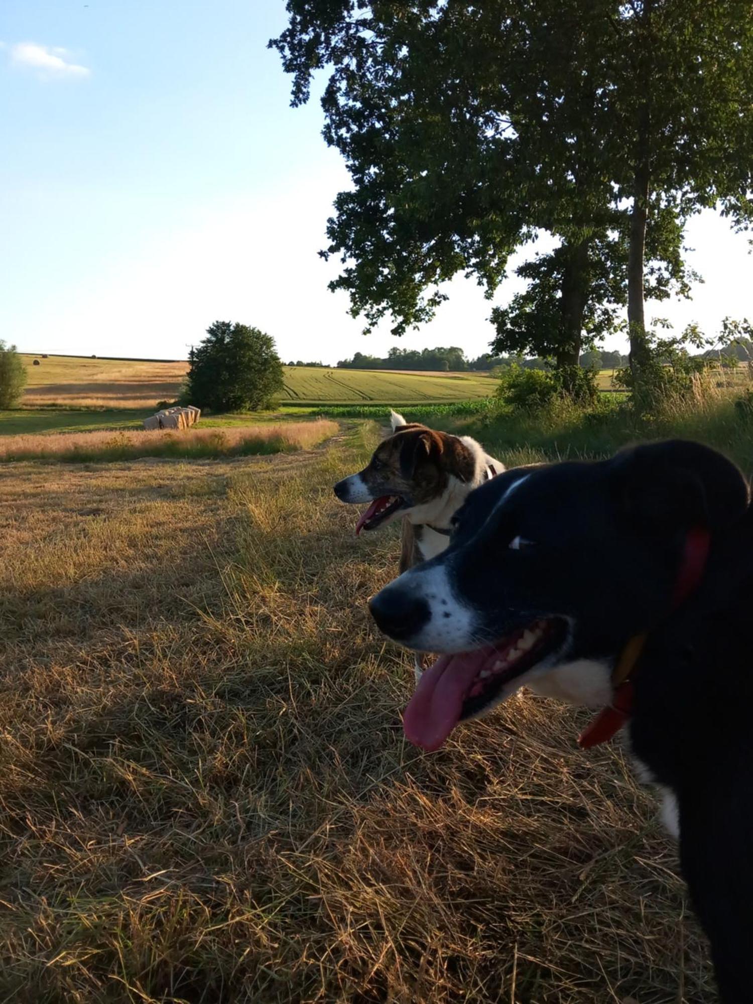 Szewska Pasja Agroturystyka Wiejska Leśna Dış mekan fotoğraf