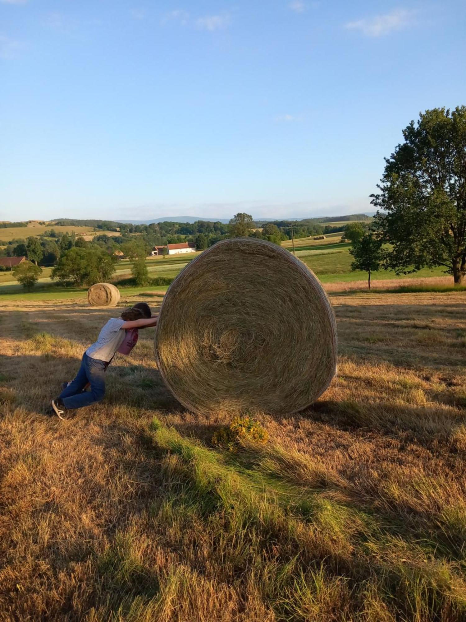 Szewska Pasja Agroturystyka Wiejska Leśna Dış mekan fotoğraf