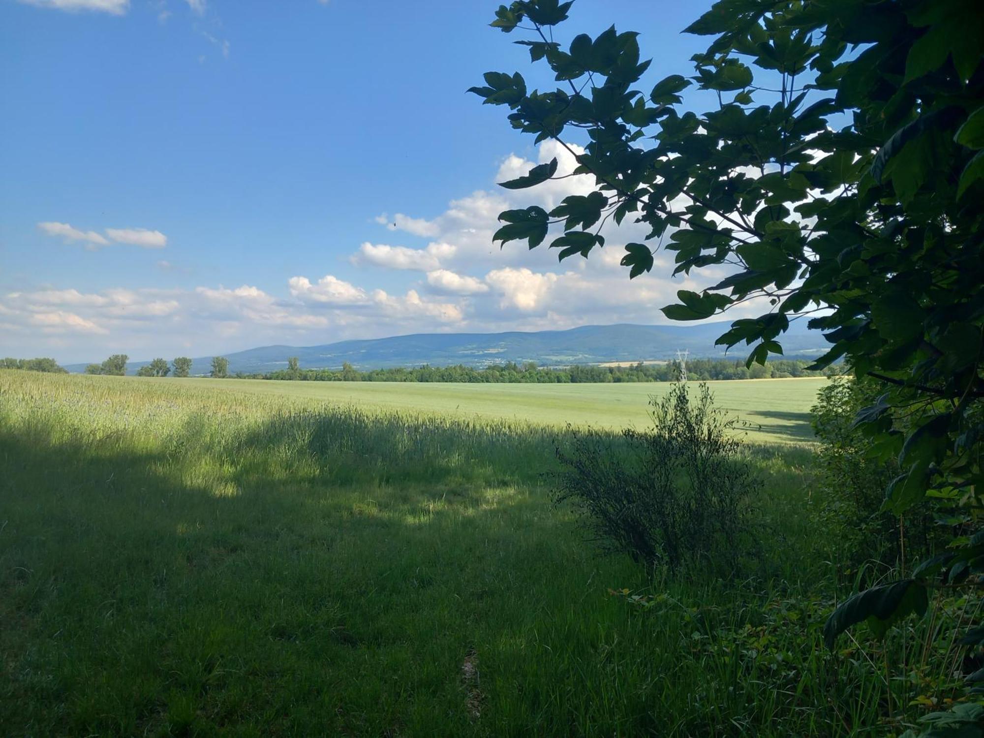 Szewska Pasja Agroturystyka Wiejska Leśna Dış mekan fotoğraf